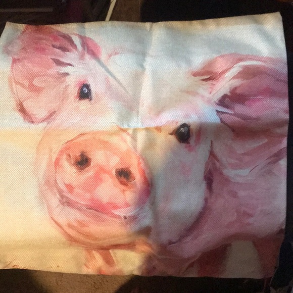 Pillow cover with zipper side new never used - Picture 1 of 2